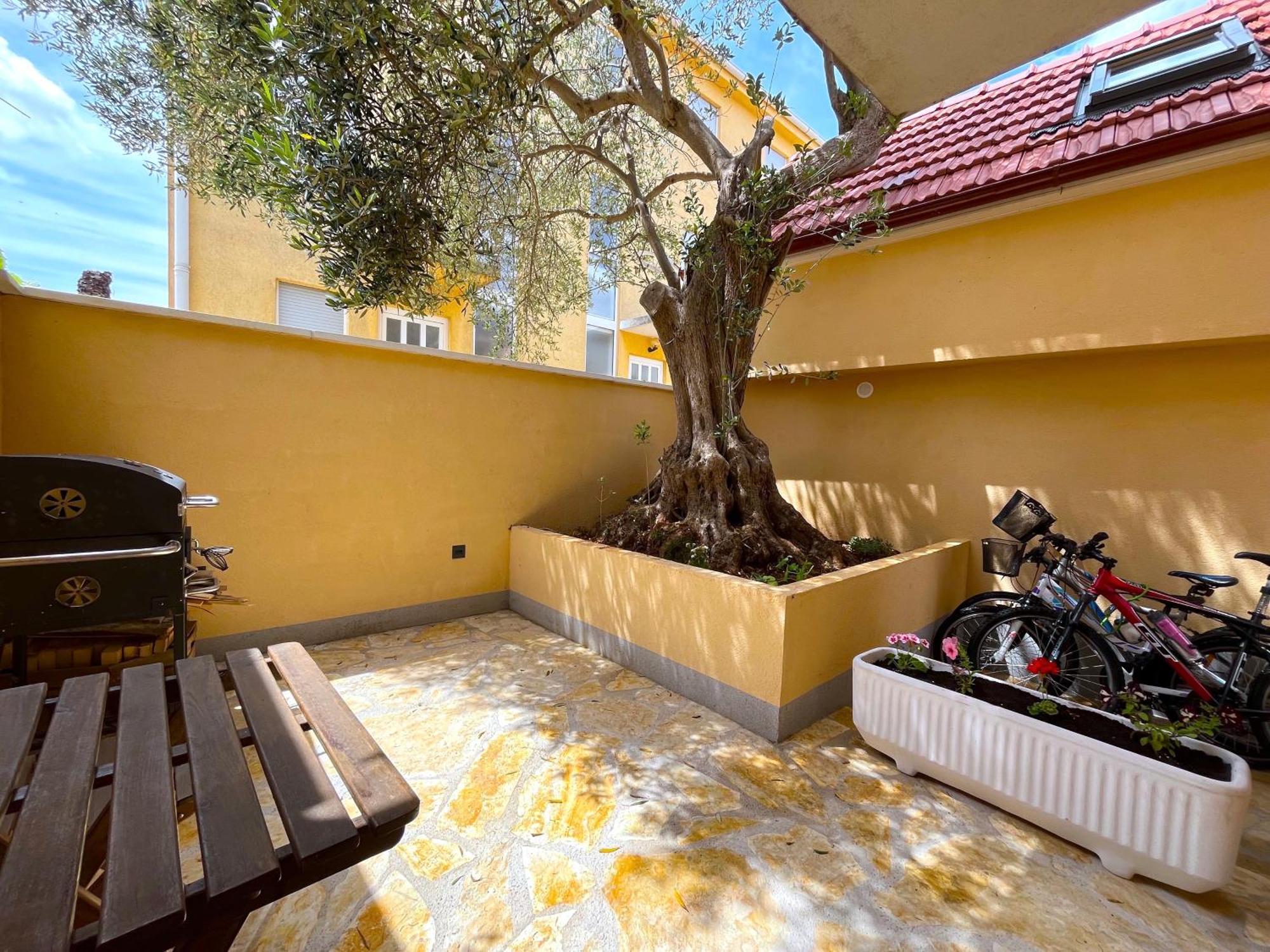 Apartamento Olive Tree Stari Grad  Exterior foto
